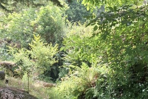 Villa i Seia, Guarda, Seia - € 240.000 | Ref: ZMPT578567 - foto 27