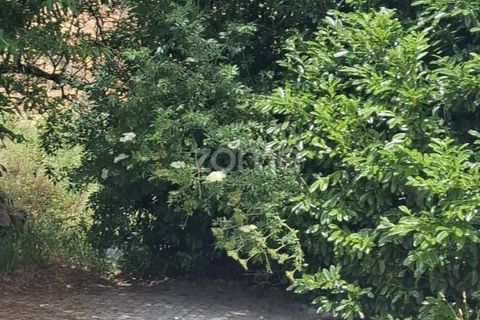 Villa i Seia, Guarda, Seia - € 240.000 | Ref: ZMPT578567 - foto 30