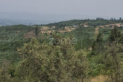 Villa i Seia, Guarda, Seia - € 240.000 | Ref: ZMPT578567 - foto 31