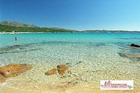 Villa a Arzachena, Sassari, Arzachena - € 12.000/mes | Ref: Villette3Camere - foto 18