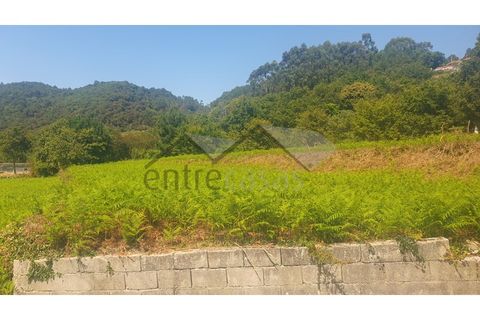 Terra a Areosa, Viana do Castelo, Areosa - € 495.000 | Ref: C0236/00352-02 - foto 2