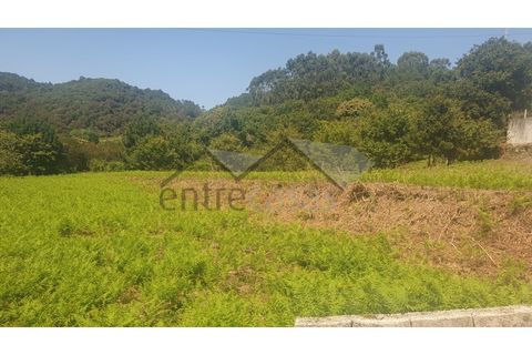 Terra a Areosa, Viana do Castelo, Areosa - € 495.000 | Ref: C0236/00352-02 - foto 3