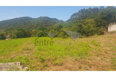 Terra a Areosa, Viana do Castelo, Areosa - € 495.000 | Ref: C0236/00352-02 - foto 4
