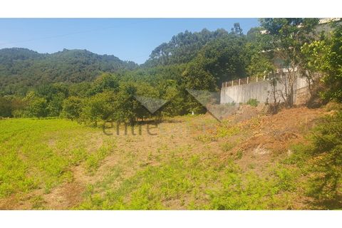 Terra a Areosa, Viana do Castelo, Areosa - € 495.000 | Ref: C0236/00352-02 - foto 5