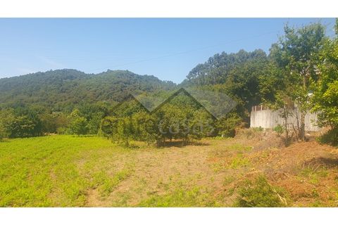 Terra a Areosa, Viana do Castelo, Areosa - € 495.000 | Ref: C0236/00352-02 - foto 6
