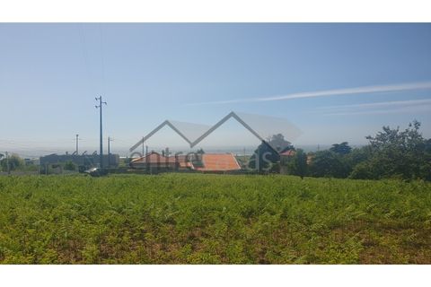 Terra a Areosa, Viana do Castelo, Areosa - € 495.000 | Ref: C0236/00352-02 - foto 7
