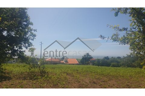 Terra a Areosa, Viana do Castelo, Areosa - € 495.000 | Ref: C0236/00352-02 - foto 8