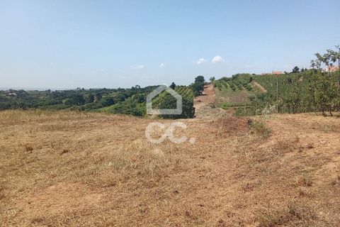 Helårsgrund i Obidos, Leiria, Obidos - € 14.000 | Ref: 321/T/01239 - foto 1