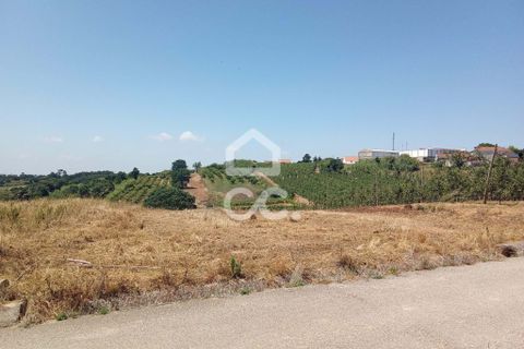 Helårsgrund i Obidos, Leiria, Obidos - € 14.000 | Ref: 321/T/01239 - foto 2