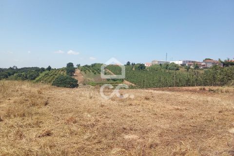 Helårsgrund i Obidos, Leiria, Obidos - € 14.000 | Ref: 321/T/01239 - foto 3