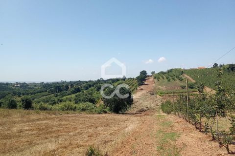 Helårsgrund i Obidos, Leiria, Obidos - € 14.000 | Ref: 321/T/01239 - foto 4