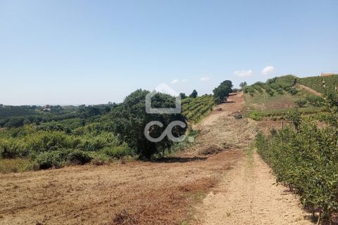 Helårsgrund i Obidos, Leiria, Obidos - € 14.000 | Ref: 321/T/01239 - foto 5