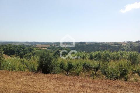 Helårsgrund i Obidos, Leiria, Obidos - € 14.000 | Ref: 321/T/01239 - foto 6