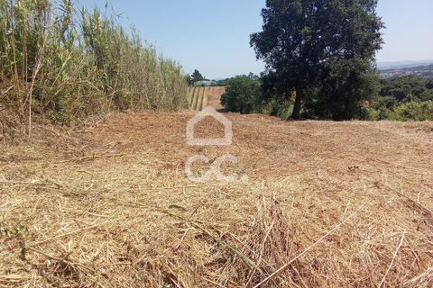 Helårsgrund i Obidos, Leiria, Obidos - € 14.000 | Ref: 321/T/01239 - foto 7