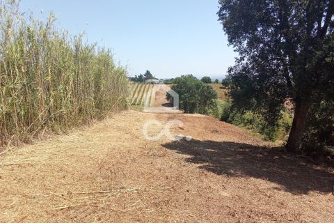 Helårsgrund i Obidos, Leiria, Obidos - € 14.000 | Ref: 321/T/01239 - foto 8