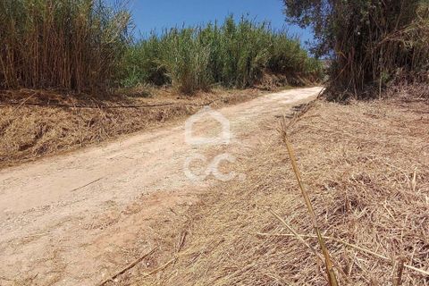 Helårsgrund i Obidos, Leiria, Obidos - € 14.000 | Ref: 321/T/01239 - foto 9