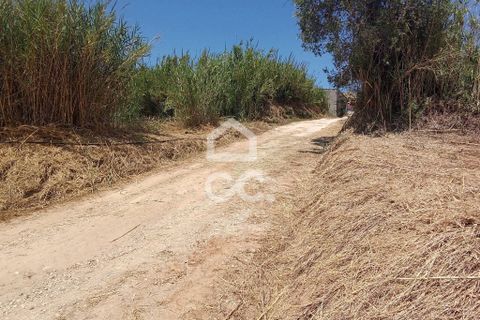 Helårsgrund i Obidos, Leiria, Obidos - € 14.000 | Ref: 321/T/01239 - foto 10
