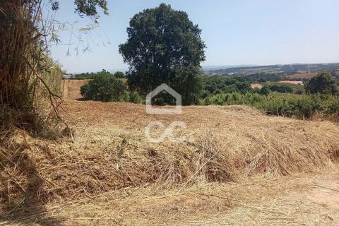 Helårsgrund i Obidos, Leiria, Obidos - € 14.000 | Ref: 321/T/01239 - foto 11