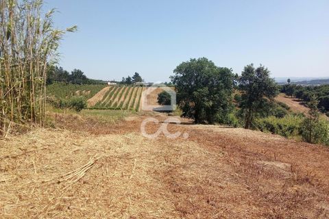 Helårsgrund i Obidos, Leiria, Obidos - € 14.000 | Ref: 321/T/01239 - foto 12