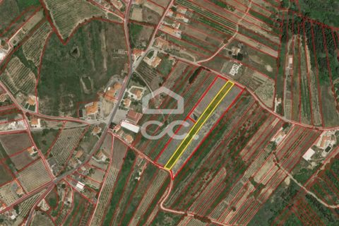 Helårsgrund i Obidos, Leiria, Obidos - € 14.000 | Ref: 321/T/01239 - foto 13