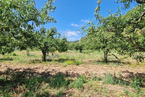 Helårsgrund i Mafra, Lisbon, Mafra - € 69.500 | Ref: 121342 - foto 1