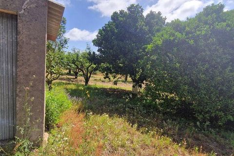 Helårsgrund i Mafra, Lisbon, Mafra - € 69.500 | Ref: 121342 - foto 2
