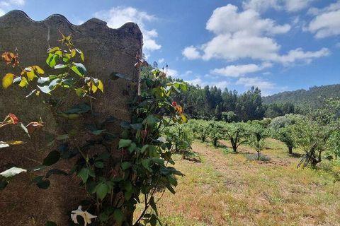 Helårsgrund i Mafra, Lisbon, Mafra - € 69.500 | Ref: 121342 - foto 3