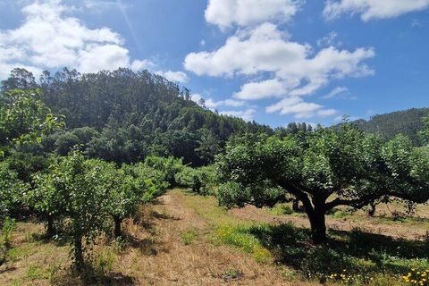 Helårsgrund i Mafra, Lisbon, Mafra - € 69.500 | Ref: 121342 - foto 4