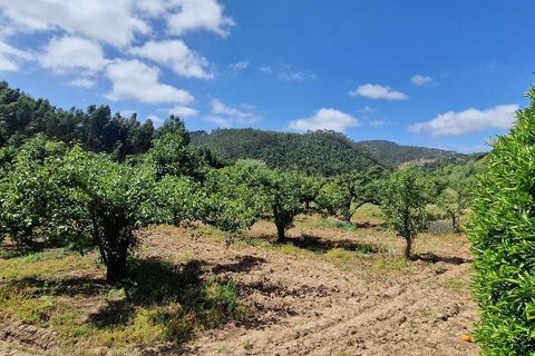 Helårsgrund i Mafra, Lisbon, Mafra - € 69.500 | Ref: 121342 - foto 6
