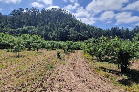 Helårsgrund i Mafra, Lisbon, Mafra - € 69.500 | Ref: 121342 - foto 7