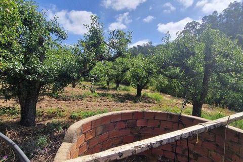 Helårsgrund i Mafra, Lisbon, Mafra - € 69.500 | Ref: 121342 - foto 8