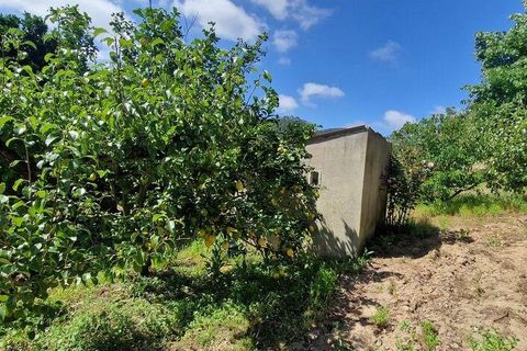 Helårsgrund i Mafra, Lisbon, Mafra - € 69.500 | Ref: 121342 - foto 9