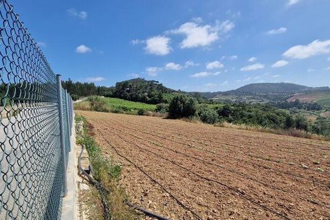 Helårsgrund i Mafra, Lisbon, Mafra - € 69.500 | Ref: 121342 - foto 12