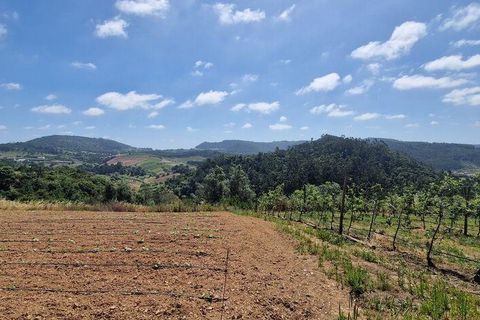 Helårsgrund i Mafra, Lisbon, Mafra - € 69.500 | Ref: 121342 - foto 13