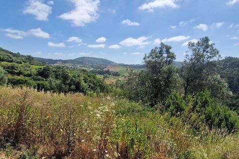 Helårsgrund i Mafra, Lisbon, Mafra - € 69.500 | Ref: 121342 - foto 14