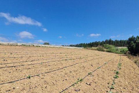 Helårsgrund i Mafra, Lisbon, Mafra - € 69.500 | Ref: 121342 - foto 18