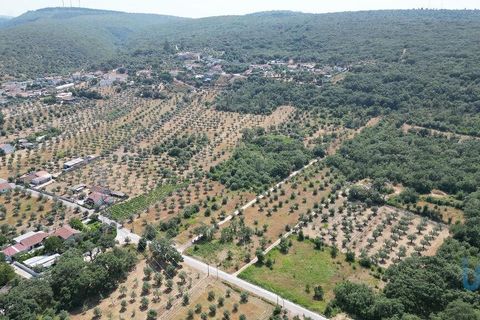 Terra a Ansiao, Leiria, Ansiao - € 53.000 | Ref: 145308 - foto 3