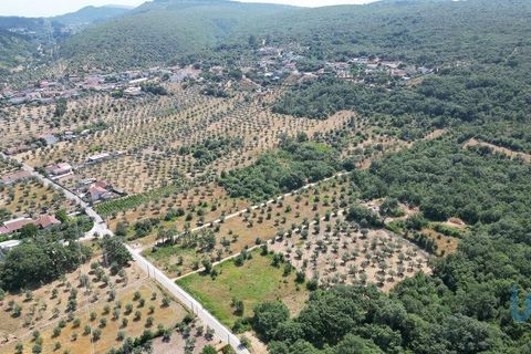 Terra a Ansiao, Leiria, Ansiao - € 53.000 | Ref: 145308 - foto 4