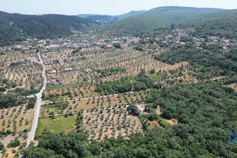 Terra a Ansiao, Leiria, Ansiao - € 53.000 | Ref: 145308 - foto 5