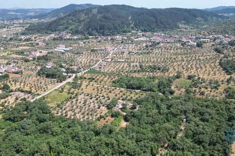 Terra a Ansiao, Leiria, Ansiao - € 53.000 | Ref: 145308 - foto 6
