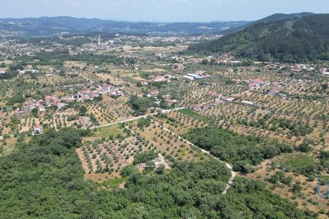 Terra a Ansiao, Leiria, Ansiao - € 53.000 | Ref: 145308 - foto 7
