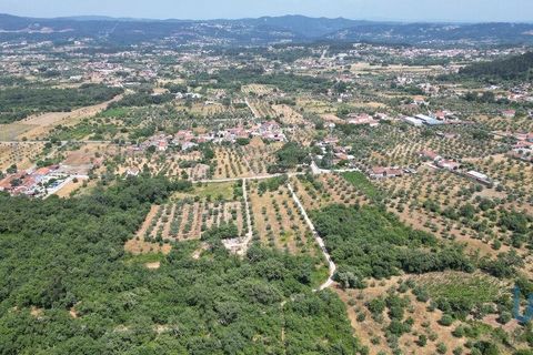 Terra a Ansiao, Leiria, Ansiao - € 53.000 | Ref: 145308 - foto 8