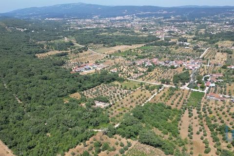 Terra a Ansiao, Leiria, Ansiao - € 53.000 | Ref: 145308 - foto 9
