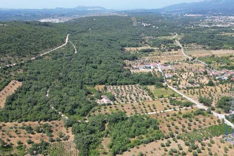 Terra a Ansiao, Leiria, Ansiao - € 53.000 | Ref: 145308 - foto 10