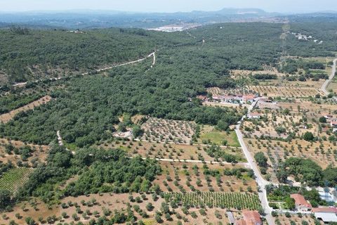 Terra a Ansiao, Leiria, Ansiao - € 53.000 | Ref: 145308 - foto 11