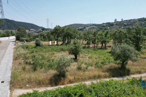 Terra a Ansiao, Leiria, Ansiao - € 53.000 | Ref: 145308 - foto 12