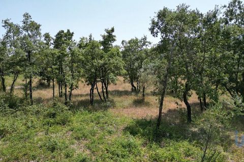 Terra a Ansiao, Leiria, Ansiao - € 53.000 | Ref: 145308 - foto 13