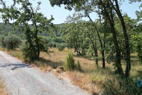 Terra a Ansiao, Leiria, Ansiao - € 53.000 | Ref: 145308 - foto 14