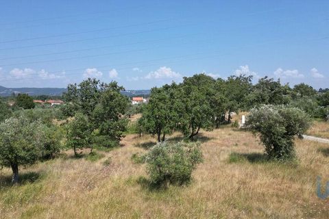 Terra a Ansiao, Leiria, Ansiao - € 53.000 | Ref: 145308 - foto 15
