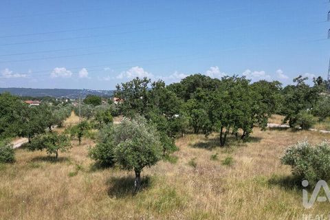 Terra a Ansiao, Leiria, Ansiao - € 53.000 | Ref: 145308 - foto 16